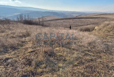 Teren intravilan, 1 000 mp, zona Tausor - 2