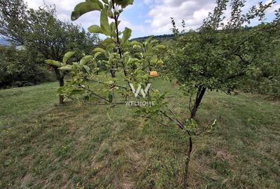 De vânzare teren extravilan în Sibiel, jud. Sibiu - 3223 mp - 2