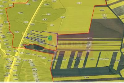 Teren în Albota - 3