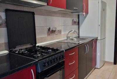 Garsonieră decomandată în Bucium - 5