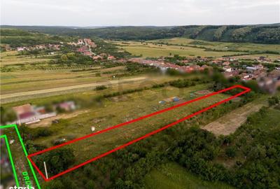 Spațiu comercial, în Betfia - 7