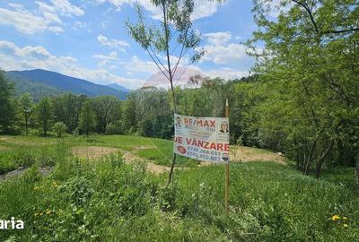 Teren de 2910 mp, în Hangu - 14