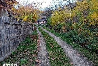 Casă cu 3 camere cu Teren 1139 Mp în Coșești - 3