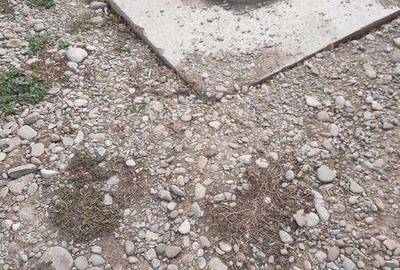 Casă cu 3 camere cu Teren 70 Mp în Răcari - 3