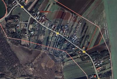 Teren Construcții intravilan de 10000 mp, în Butimanu - 3
