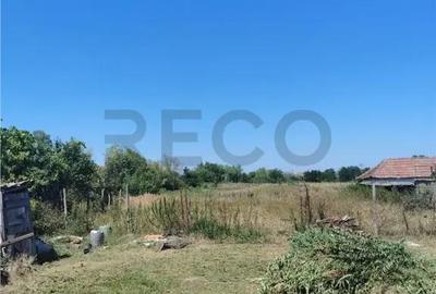 Teren de 2500 mp, în Paleu - 4