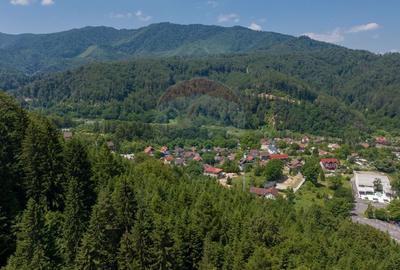 Teren intravilan, 3000 mp, Dambu Morii - 8