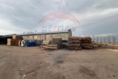 Spațiu industrial, de 7,756 mp, în Cerăt - 24