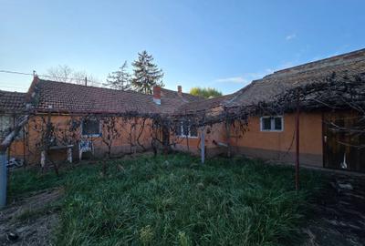 Fratelia- Casa si teren- 1439 mp - 4