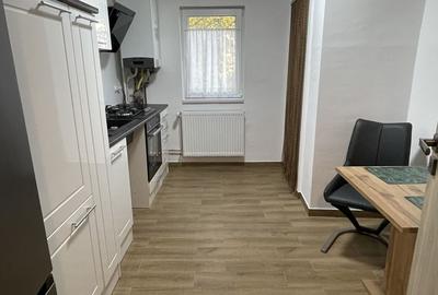 Amenajat complet, mobilat și utilat, totul nou - 10