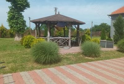 Casă cu 6 camere cu Teren 3100 Mp în Ineu - 2