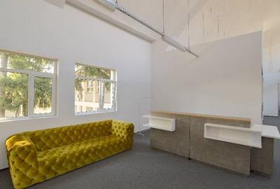 0% comision! Inchiriere birouri Domenii, 663 - 1643 mp - 8