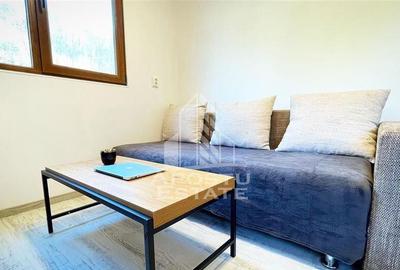 Cabana de inchiriat in Apuseni, Ciubar, Fara vecini, Fois... - 14