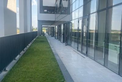 Spațiu comercial stradal 30 mp - Cartier Noua - 6