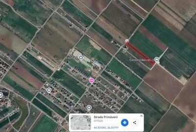 Terenuri de vanzare Berceni Ilfov, str. Primaverii, comision 0 - 1