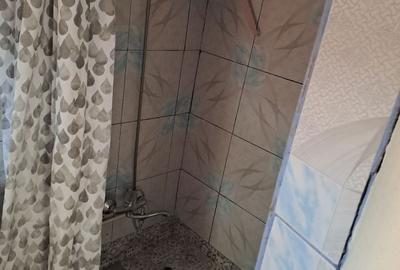Casă cu 4 camere cu Teren 816 Mp în Bariera Vâlcii - 1