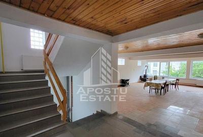 Casa ideala pentru birouri/alte activitati Mehala - 4