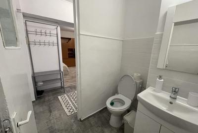 Garsoniera, conf.I sporit, 42 mp, etaj 1, renovata, CAM5 -ultracentral Garsoniera, conf.I sporit, 42 mp, etaj 1, renovata, CAM5 -ultracentral - 18