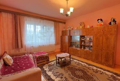 Casa 7 camere cu Teren 4.620 mp | Potential pentru rezidenta sau afacere | Carei - 9