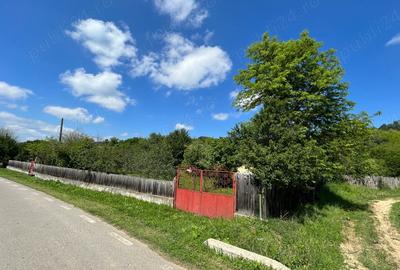 Casă cu 4 camere cu Teren 3600 Mp în Ciovârnășani - 7