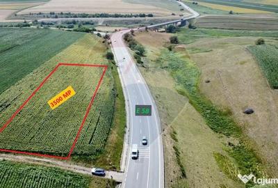 Teren de 3500 mp, în Ilișești - 9
