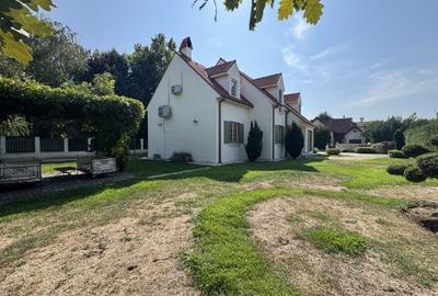 1100 mp teren!Vila în stil cottage francez, Iancu Nicolae - 11