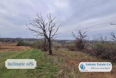 Teren de 3774 mp, în Oncea - 2