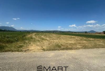 Teren de 5000 mp, în Râșnov Romacril - 1