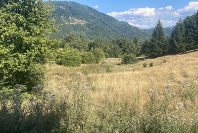 Teren de Vânzare în Râșnov, Glăjerie - Un Refugiu Perfect - 3