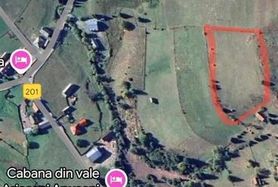 RECO Teren intravilan in Arieseni - 9