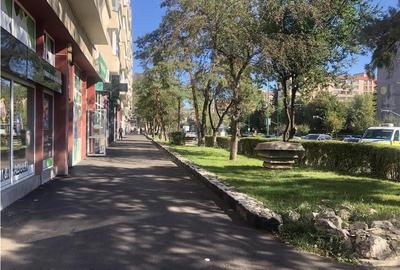 Apartament 2 Camere cu vedere deosebita la Bulevard Victoriei - 3