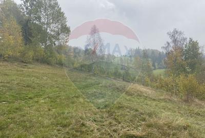 Teren Construcții intravilan de 8119 mp, în Călățele - 16