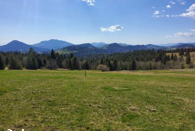 Teren de 2200 mp, în Tiha Bârgăului - 2