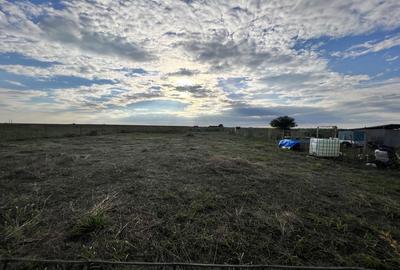 Spațiu comercial, în Corbu - 2