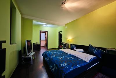 Vila S+P+1+M-318 m2 utili cu 1820 m2 teren situata vis a vis Lidl,Penny,Kaufland - 36