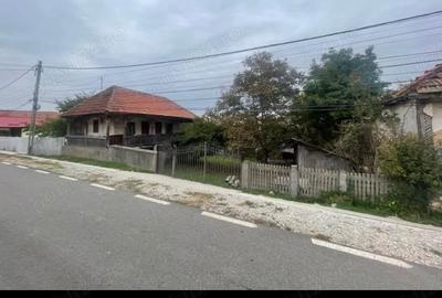 Teren de 6980 mp, în Dobrița - 3