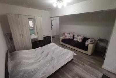 Garsonieră decomandată în Vișan - 2