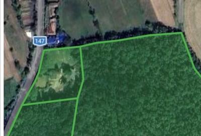 Teren de 2500 mp, în Hătcărău - 2