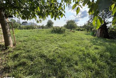 Casă cu 5 camere cu Teren 2700 Mp în Pianu - 5