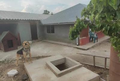 Casă cu 5 camere cu Teren 2500 Mp în Central - 3