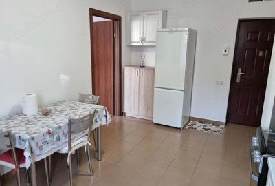 Proprietar inchiriez ap 2 camere pia?a centrala Deva - 8