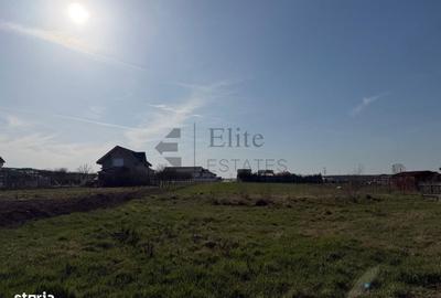 Casă cu 4 camere cu Teren 2195 Mp în Cihei - 2