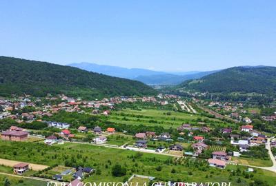 TEREN 2510 MP, PRETABIL DEZVOLTARE REZIDENTIALA - 2