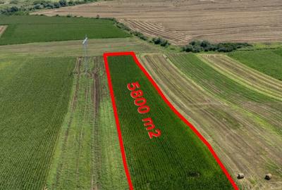 Teren agricol 5800mp - 3