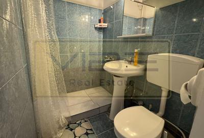 Apartament cu 2 camere decomandat, mobilat în Alexandru cel Bun - 14