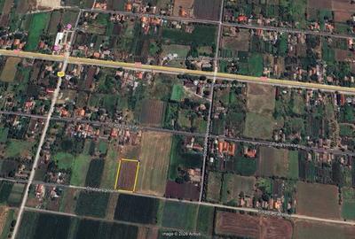 Teren de 2500 mp, în Aurora - 1