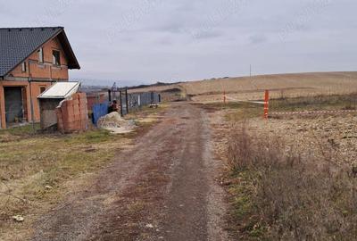 Teren de 5600 mp, în Archia - 4