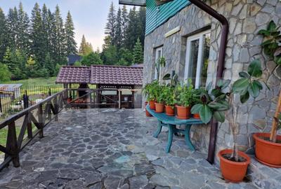 Pensiune 9 camere, 300mp, Exterior Nord - 19