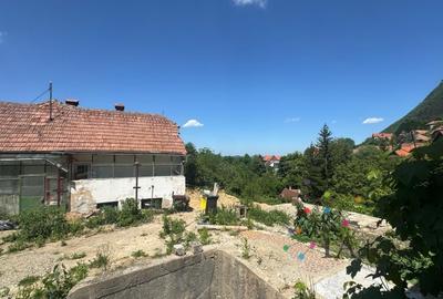 Teren Construcții intravilan de 354 mp, în Schei - 11