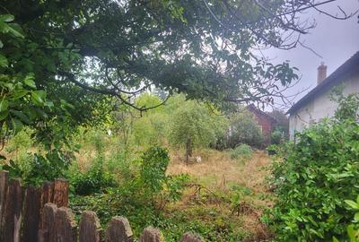 Teren 1055 mp,situat la 5 minute de Parc Comana,intre case - 4